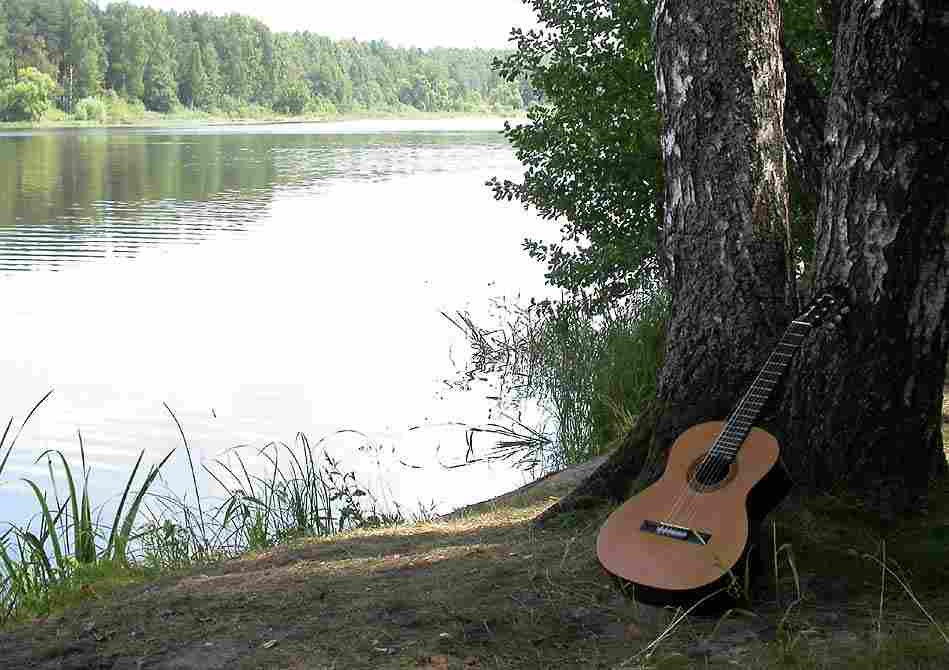Фото гитар